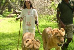 Madagascar_and_Mauritius_2026 (56/70)