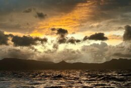 Madagascar_and_Mauritius_2026 (57/70)