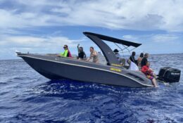 Madagascar_and_Mauritius_2026 (60/70)