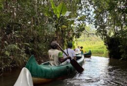 Madagascar_and_Mauritius_2026 (70/70)