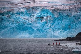Антарктида 2016-17 (12/116)