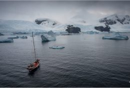 Антарктида 2016-17 (41/116)
