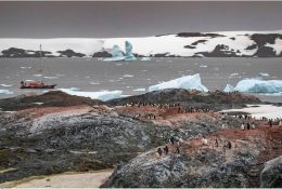 Антарктида 2016-17 (70/116)