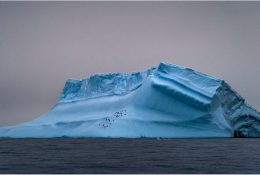 Антарктида 2016-17 (99/116)