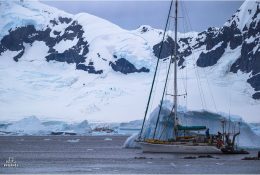 Антарктида 2016-17 (106/116)