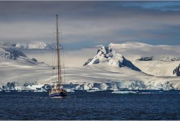Антарктида 2014-15 (2/189)