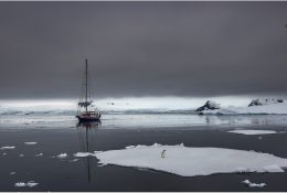 Антарктида 2014-15 (16/189)