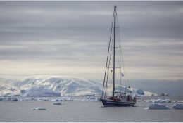 Антарктида 2014-15 (40/189)