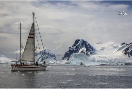 Антарктида 2014-15 (72/189)