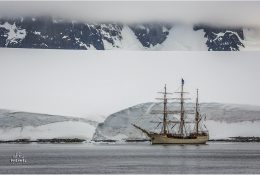 Антарктида 2014-15 (112/189)