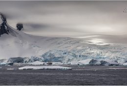 Антарктида 2014-15 (132/189)