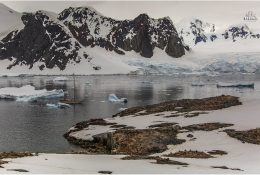 Антарктида 2014-15 (172/189)