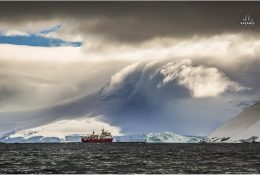 Антарктида 2014-15 (180/189)