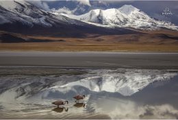 Болівія і Перу 2015 (51/153)