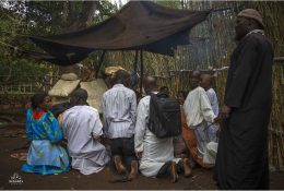 Уганда, Конго з паганелями 2016 (38/179)