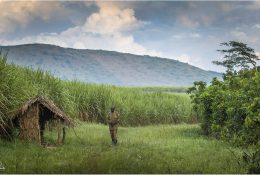 Уганда, Конго з паганелями 2016 (65/179)