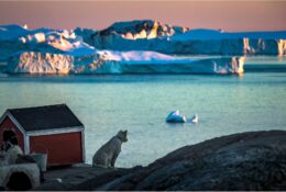 Гренландія 2017 (5/142)