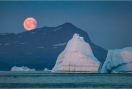 Гренландія 2017 (81/142)