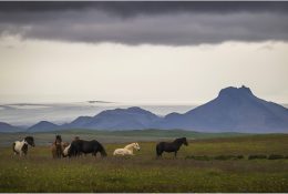 Ісландія 2016 (215/270)