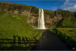 Ісландія (2017) (91/117)
