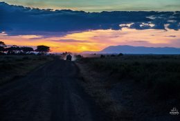 Кенія, Танзанія з Paganels 2016 (36/89)