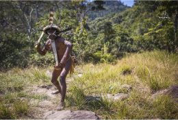 Papua with Paganels 2015: Dani & Korowai (64/186)
