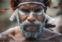 Papua with Paganels 2015: Dani & Korowai (98/186)