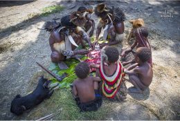 Papua with Paganels 2015: Dani & Korowai (106/186)