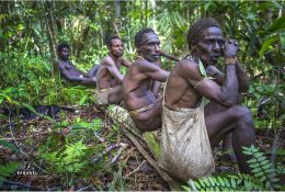 Papua with Paganels 2015: Dani & Korowai (122/186)