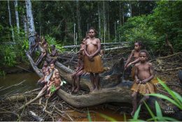 Papua with Paganels 2015: Dani & Korowai (137/186)