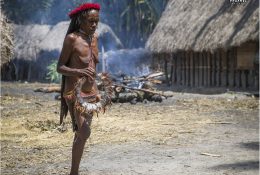 Papua with Paganels 2015: Dani & Korowai (161/186)