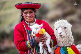 Перу з Паганелями 2016 (159/160)