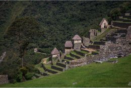 Перу (2018) (127/226)