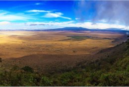 Танзанія, Кіліманджаро 2016 (28/143)