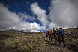 Танзанія - Кіліманджаро 2014 (61/239)