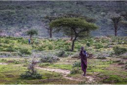Танзанія - Кіліманджаро 2014 (72/239)