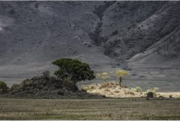 Танзанія - Кіліманджаро 2014 (82/239)