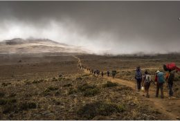 Танзанія - Кіліманджаро 2014 (100/239)