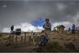 Танзанія - Кіліманджаро 2014 (102/239)