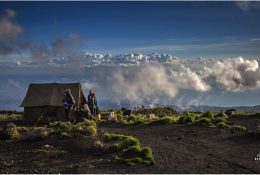 Танзанія - Кіліманджаро 2014 (118/239)