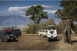 Танзанія - Кіліманджаро 2014 (159/239)
