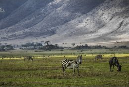Танзанія - Кіліманджаро 2014 (169/239)