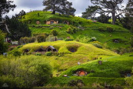 Хоббітон 2025 (2/30)