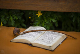 Хоббітон 2025 (5/30)