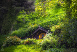 Хоббітон 2025 (6/30)