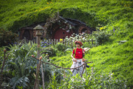 Хоббітон 2025 (14/30)