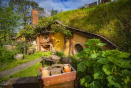 Хоббітон 2025 (16/30)