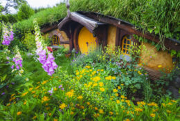 Хоббітон 2025 (21/30)