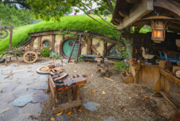 Хоббітон 2025 (23/30)