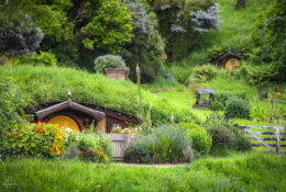 Хоббітон 2025 (24/30)